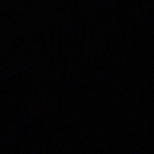 Meet your Posher, Iris